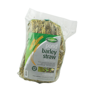 Blagdon Pond Barley Straw Mini