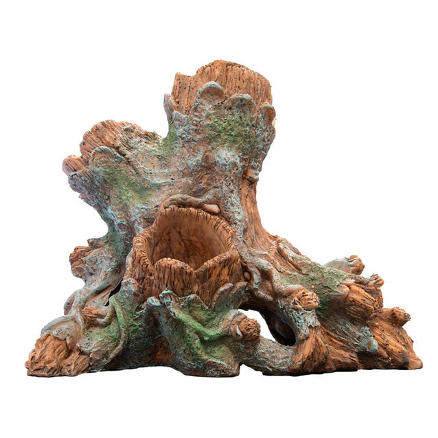 Superfish Scapers Wood Planty (2 sizes)