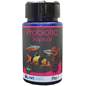 NT Labs Pro - F Probiotic Tropical 45G