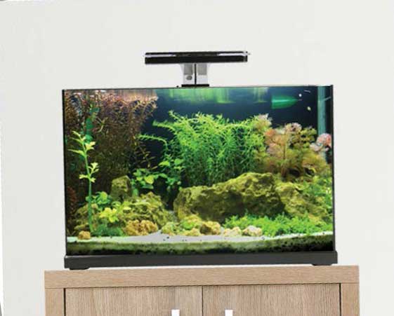 Focus 25 Glass Aquarium 25L Black