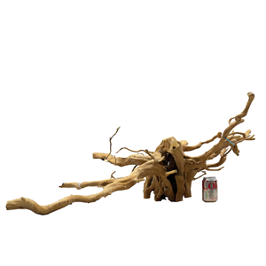 Honshu Wood XL 80 - 100 cm