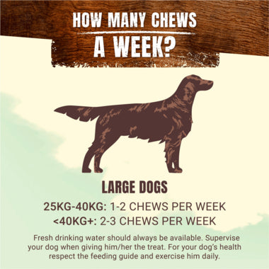 Adventuros Wild Chew Large Venison Dog Treats