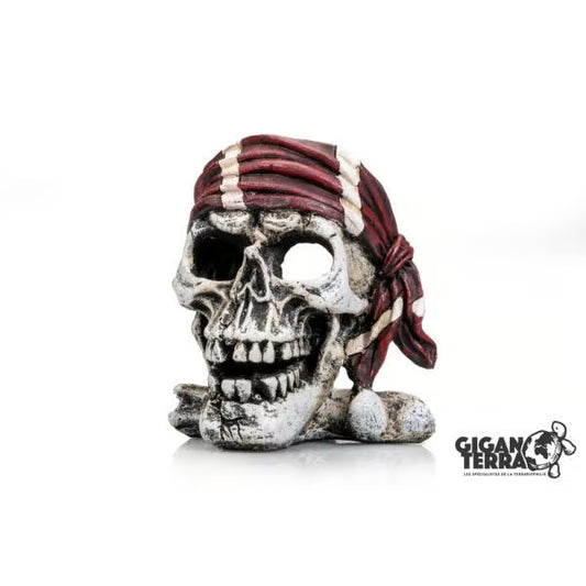 Skull Pirate 602 - 10 x 10.5 x 11 cm