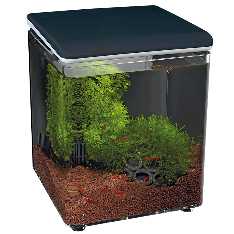 Superfish Home 8 Aquarium Black