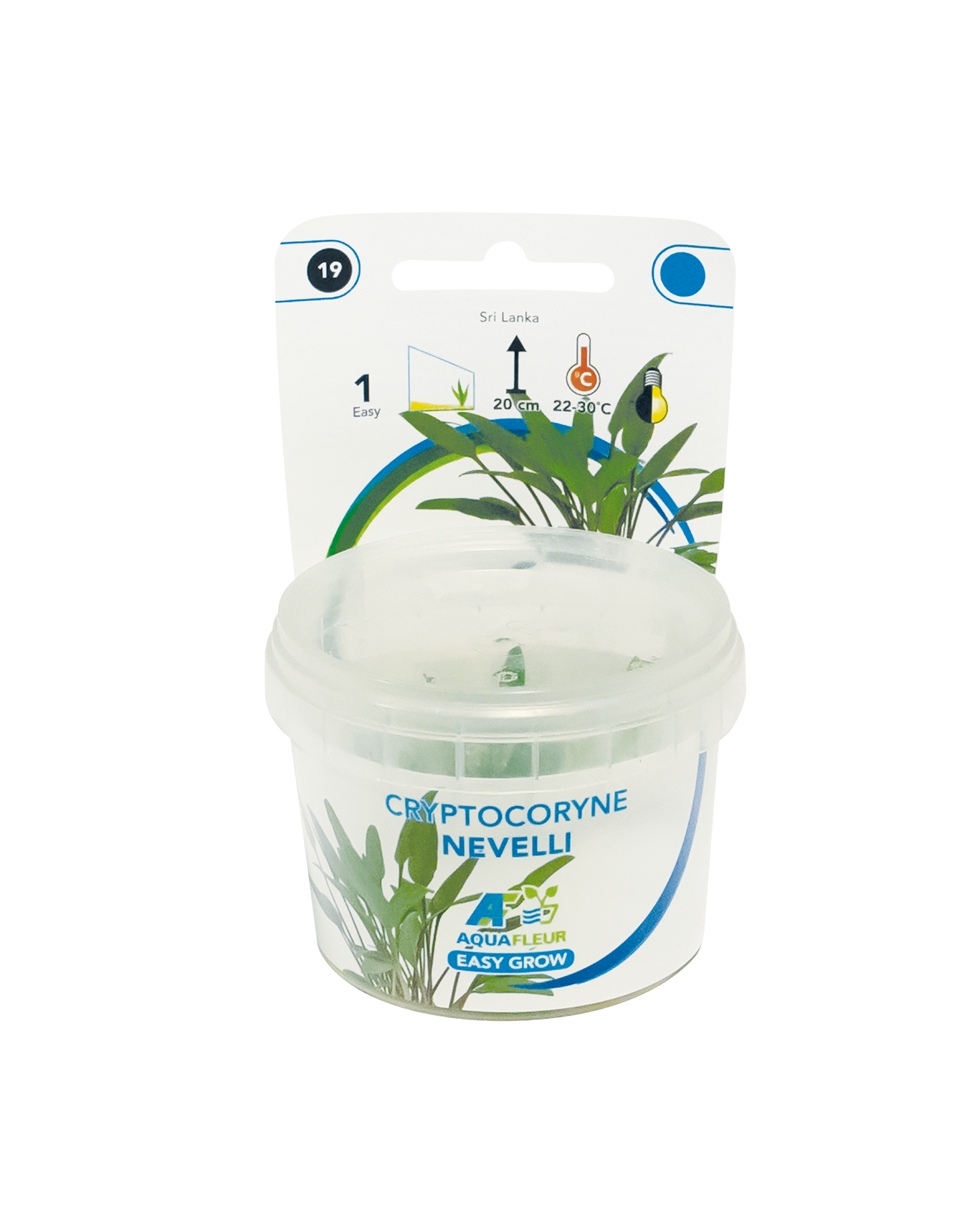 Cryptocoryne Nevelli - Easy Grow