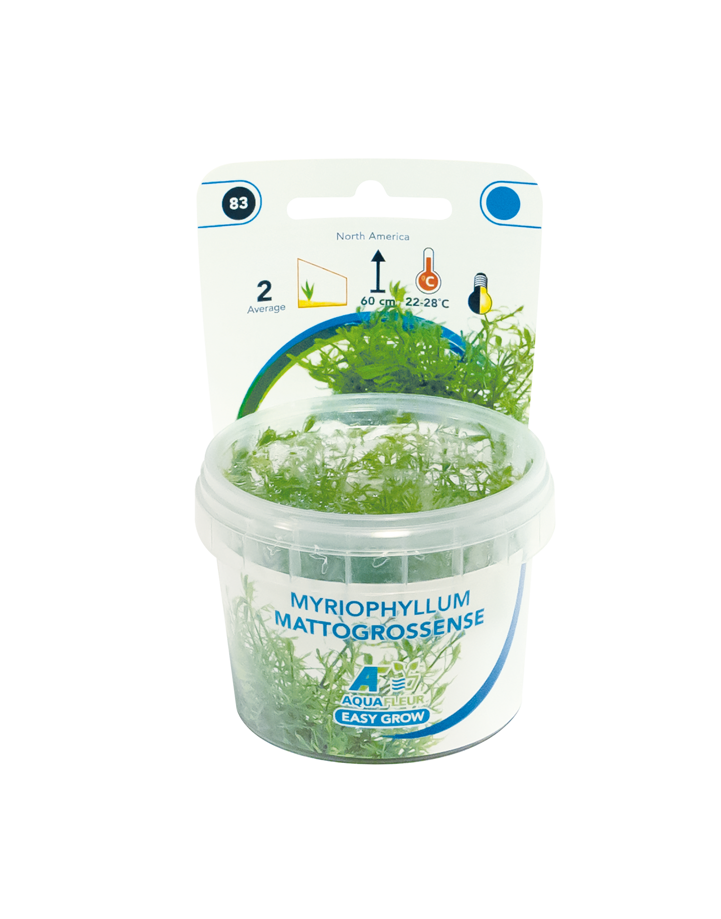 Myriophyllum Mattogrossense - Easy Grow