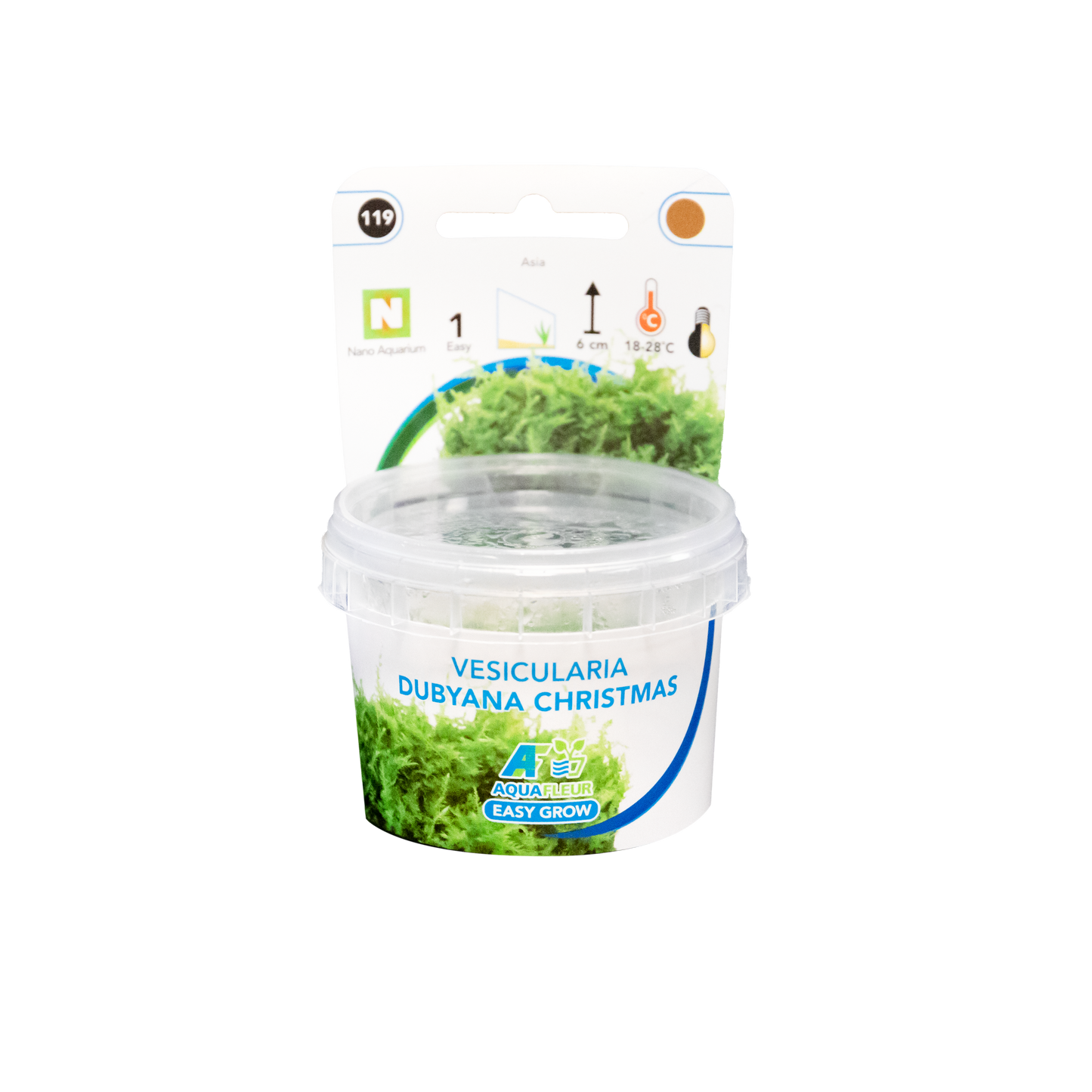 Vesicularia Dubyana christmas - Easy Grow