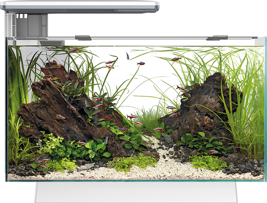 Superfish Quadro 70 Pro Black