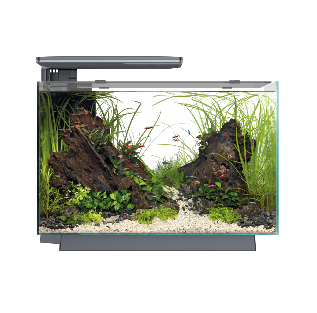 Superfish Quadro 40 Pro Black