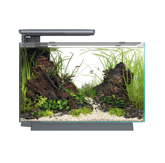 Superfish Quadro 40 Pro Black