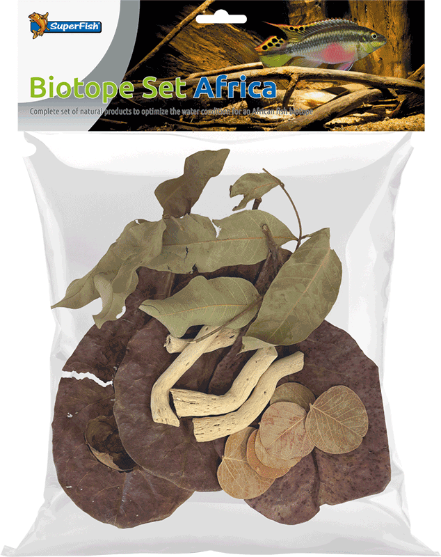 Biotope Set Africa Botanicals