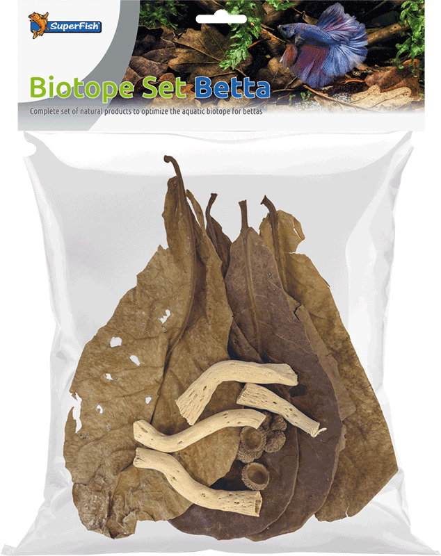 Biotope Set Betta Botanicals