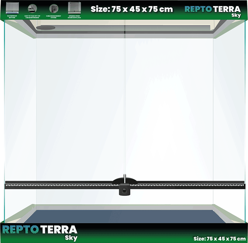 Repto Terra Sky (Various Sizes)