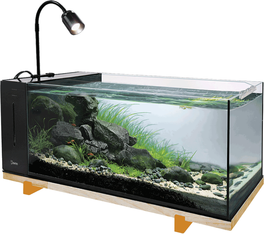 Superfish River Aquarium 60