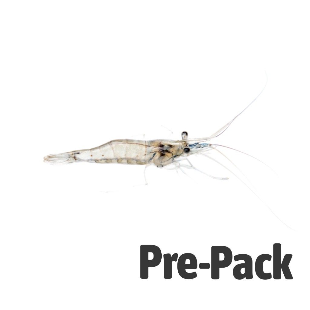 River Shrimp 100ml