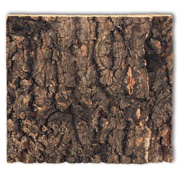 Repti Planet Cork Background fits 20 x 20cm Viv