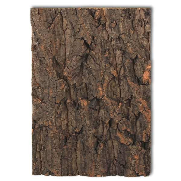 Repti Planet Cork Background fits 20 x 30cm Viv