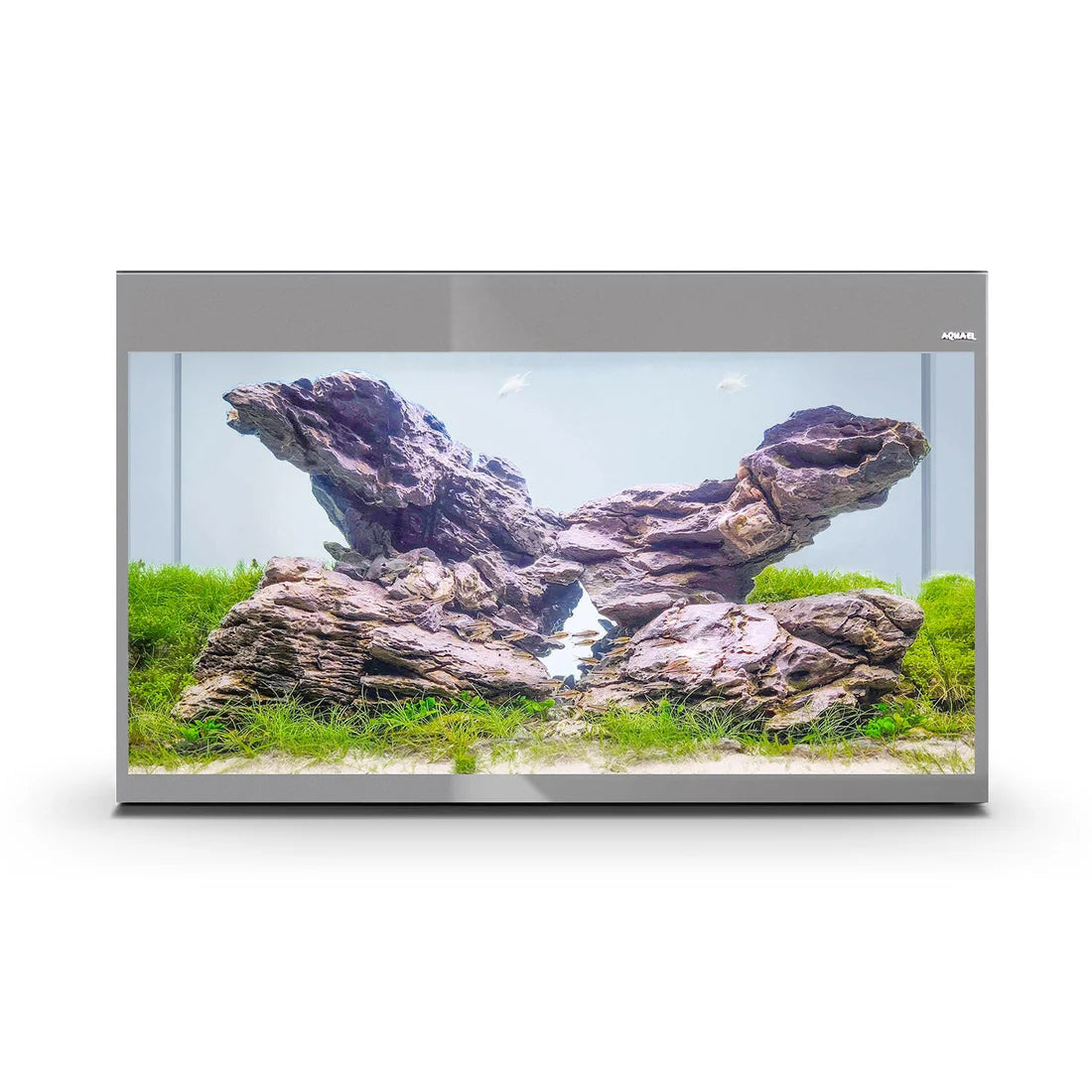 Aquael Glossy ST 100 Aquarium Only - Grey