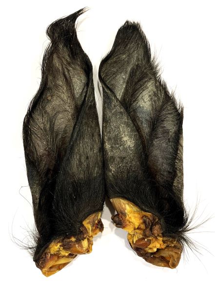 Buffalo Ears x50 Bulk