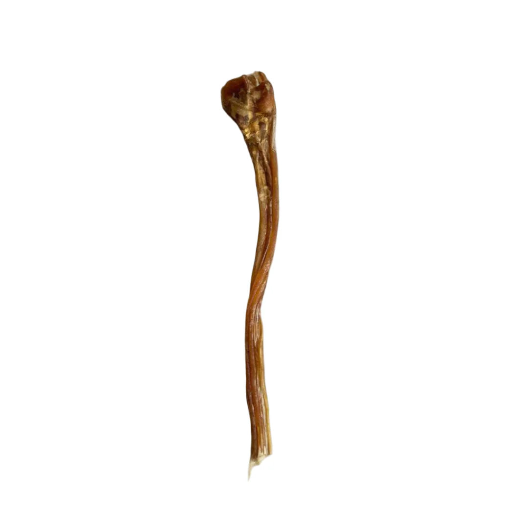 Ostrich Tendon