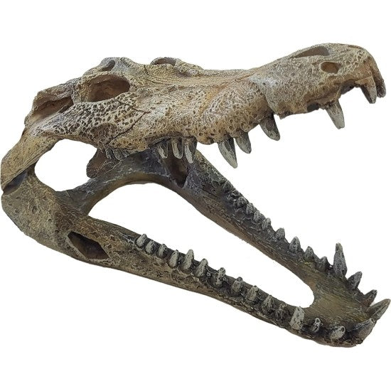 Repto Deco Crocodile (Various Sizes)