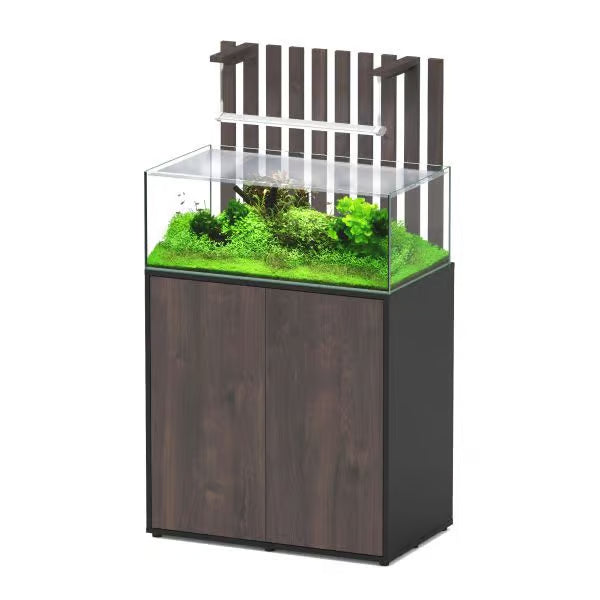 Shallow Aquascape 80 Black + External Filter