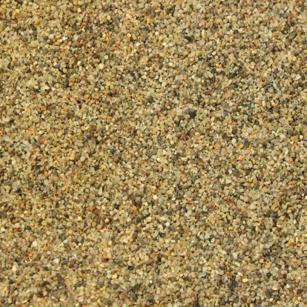 Shark Sand - Savannah