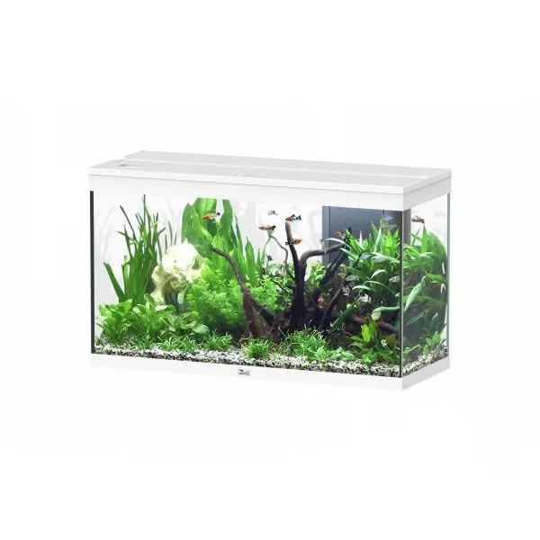 Splendid 100 Aquarium White + White Wood Cabinet