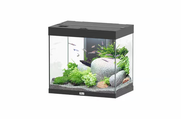 Splendid 60 Aquarium Black + Black Wood Cabinet