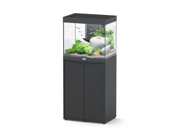 Splendid 60 Aquarium Black + Black Cabinet