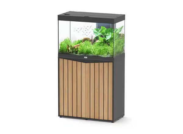 Splendid 80 Aquarium Black + Black Slat Cabinet