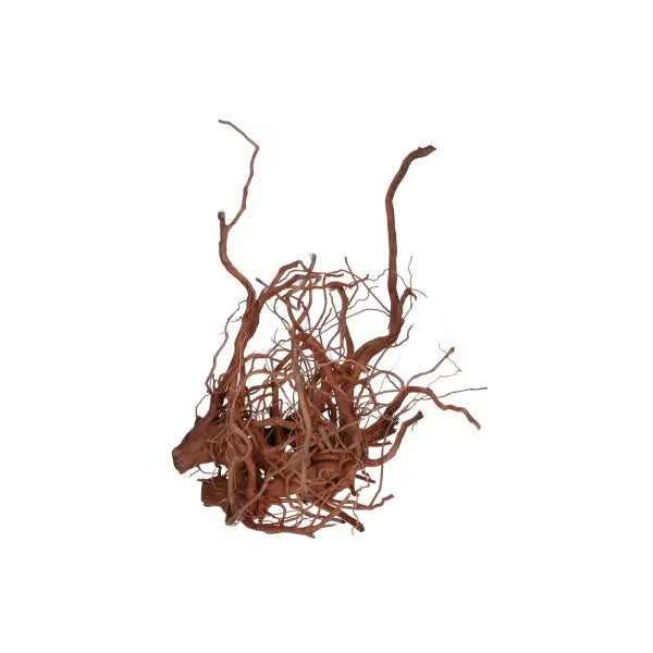 Twisted Vine Root XL