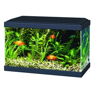 CIANO AQUA 20 AQUARIUM - BLACK