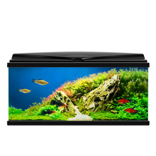 Ciano Aquarium 80 LED - Black
