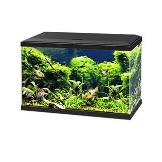 CIANO AQUARIUM 60 PLUS LED - BLACK