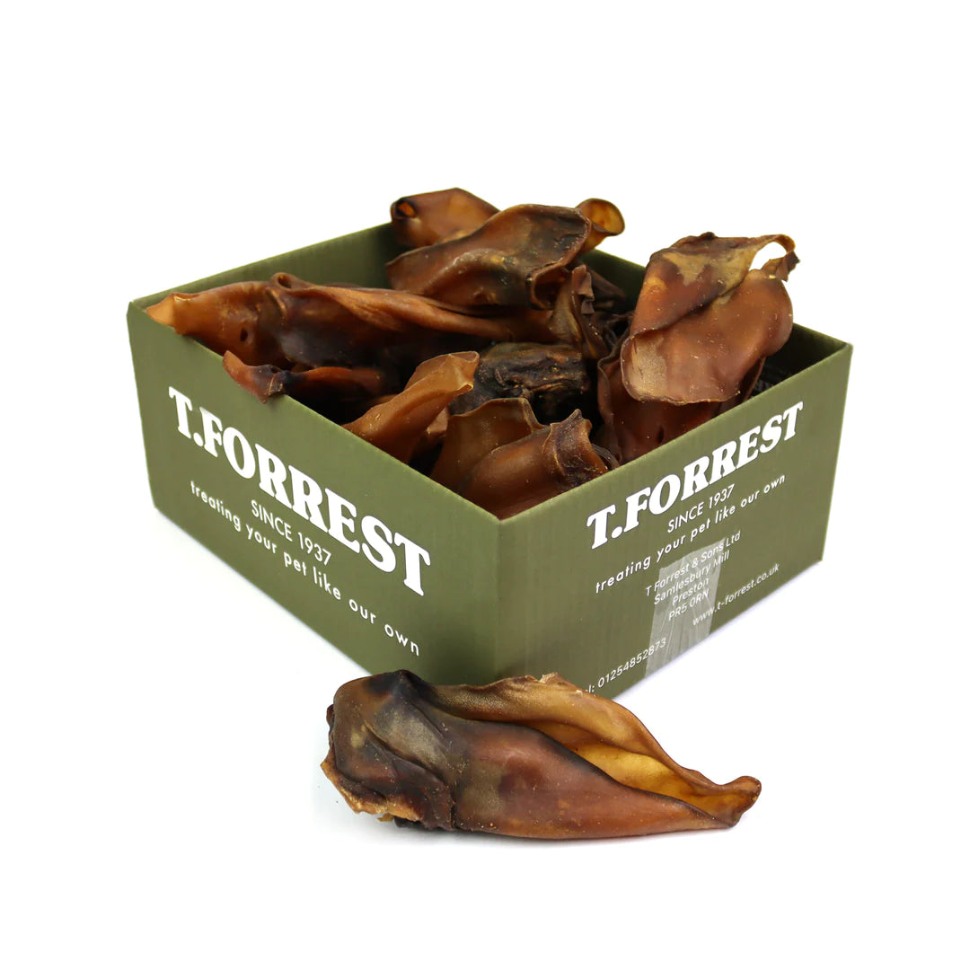 Cows Ears x25 Bulk