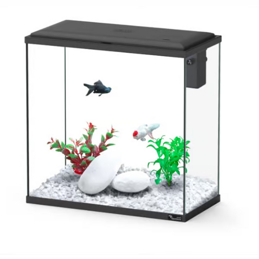 Explorer Dublin 34L Aquarium Black