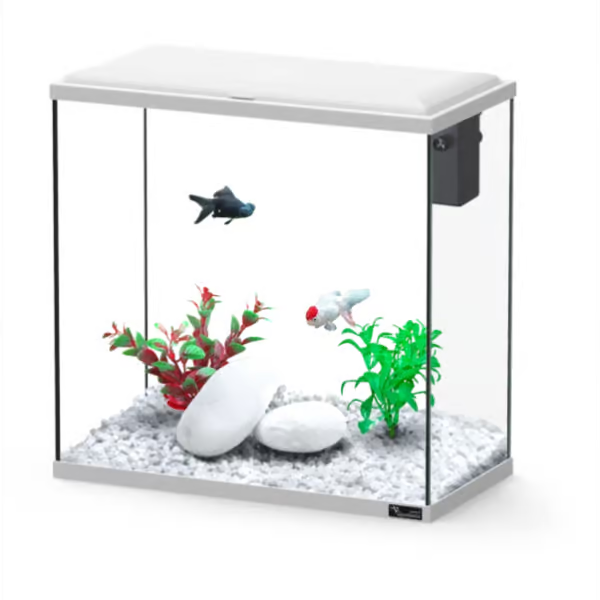 Explorer Dublin 34L Aquarium White