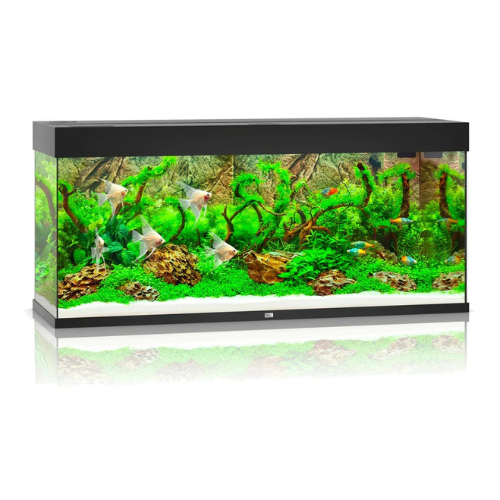 JUWEL RIO 240 LED AQUARIUM ONLY - (BLACK)