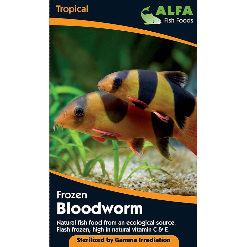 ALFA Frozen Bloodworm 100g