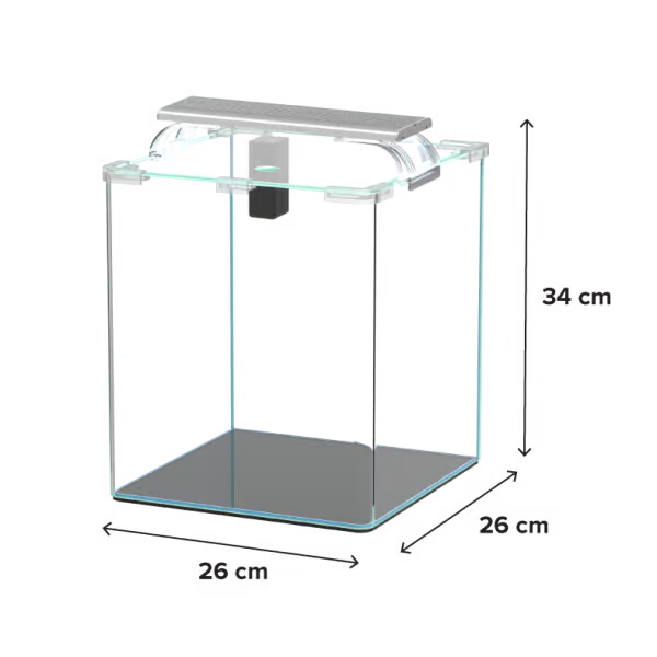 Kubus Curve 20L