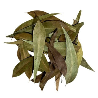 WIO Eucalyptus Leaves 5 - 15cm 20g