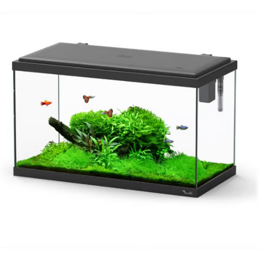 Explorer Paris 58L Aquarium Black