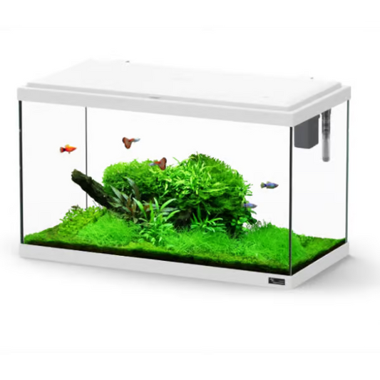 Explorer Paris 58L Aquarium White