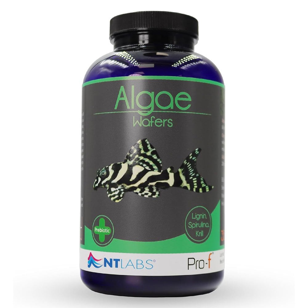 NT Labs Pro - F Algea Wafers 350g