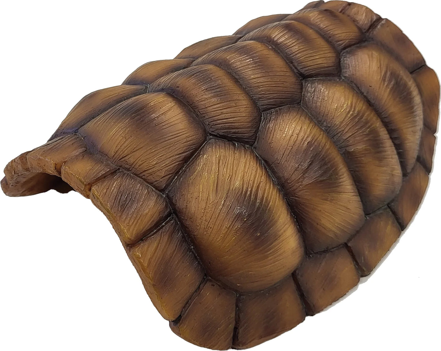 Repto Deco Tortoise (Various sizes)