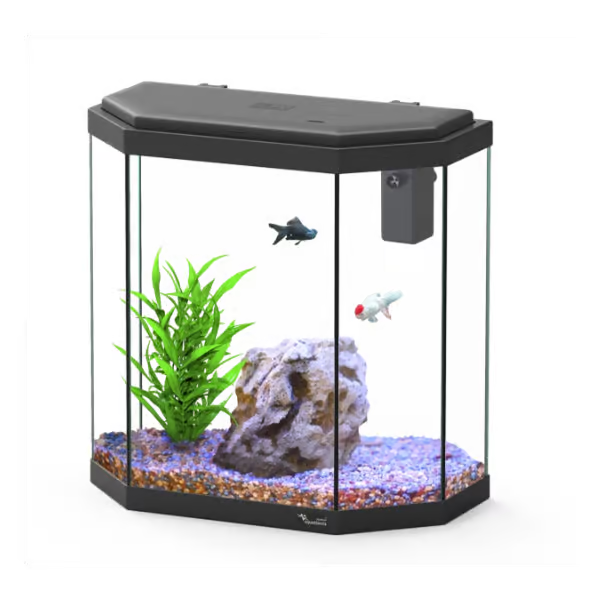 Explorer Rome 30L Aquarium Black