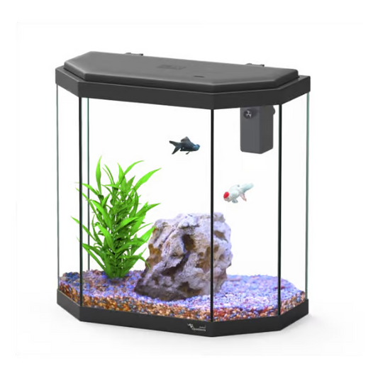 Explorer Rome 30L Aquarium Black