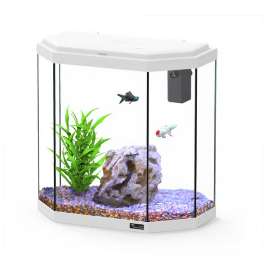 Explorer Rome 30L Aquarium White
