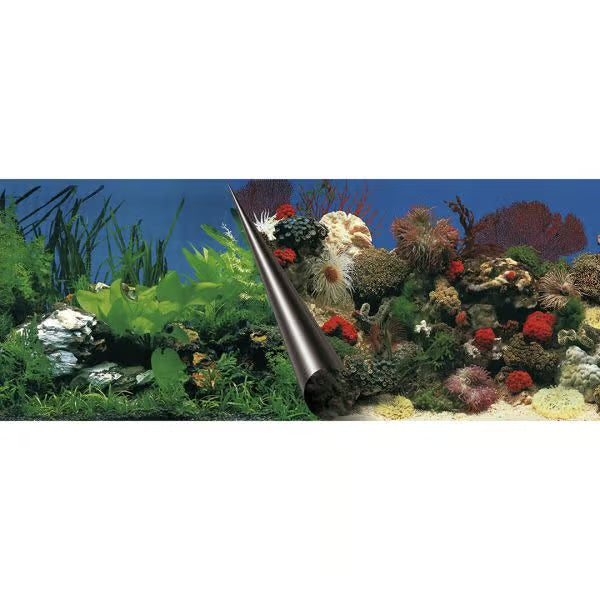 AquaDella Background L Stone/ Coral 120x50